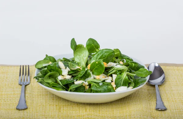 Lambs lettuce — Stock Photo, Image