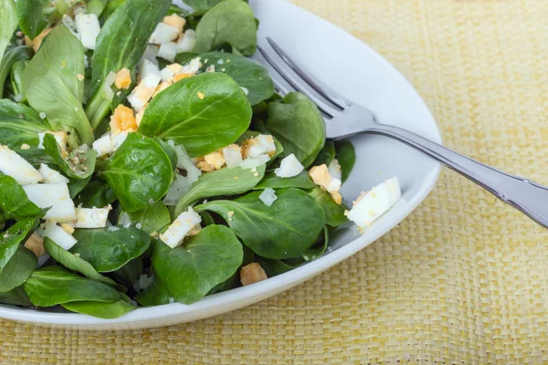 Lambs lettuce — Stock Photo, Image