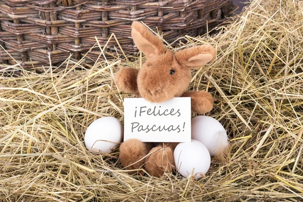 Tarjeta de Pascua —  Fotos de Stock