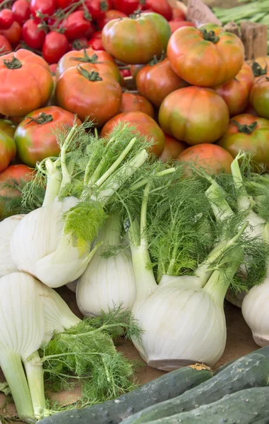 Cibulová zelenina fenyklu, fenykl, čerstvá rajčata, čerstvá — Stock fotografie