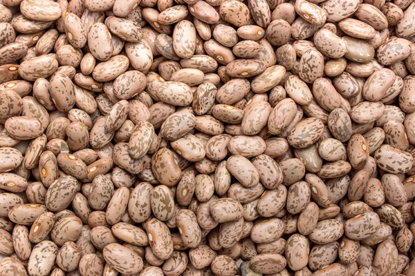 Pinto beans — Stock Photo, Image