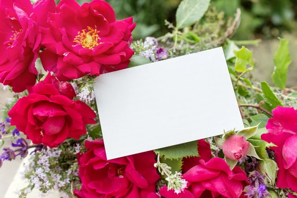 Zomer boeket — Stockfoto