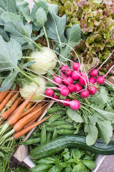 Légumes de printemps — Photo