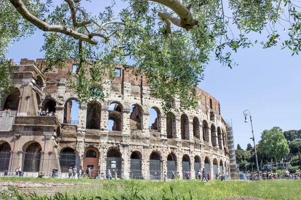 Colosseum — Stock Photo, Image