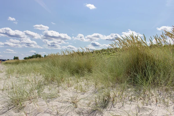 Spiaggia del Baltico — Foto Stock