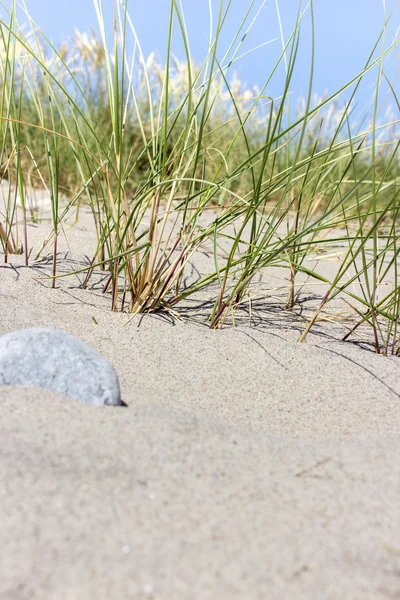 Spiaggia — Foto Stock