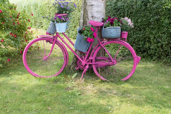 Pink bicycle — Stock Photo, Image
