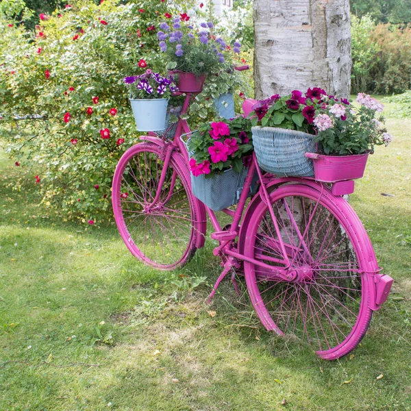 ピンクの自転車 — ストック写真