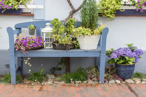 Modré zahradní lavička — Stock fotografie