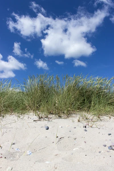 Playa de arena — Foto de Stock