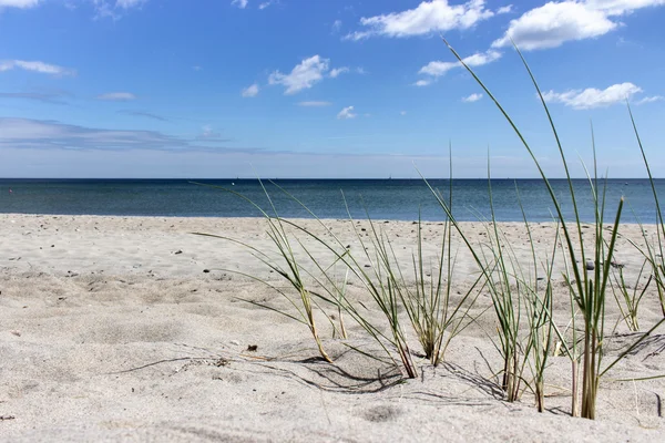 Playa de arena — Foto de Stock