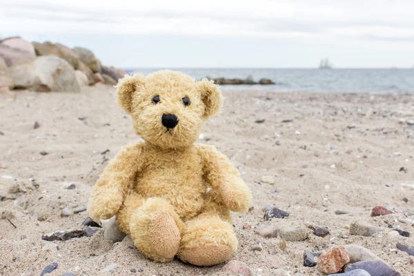 Ein kleiner Teddybär — Stockfoto