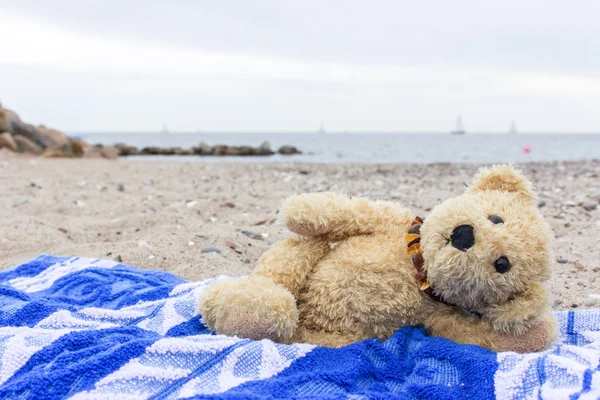 Un oso de peluche —  Fotos de Stock