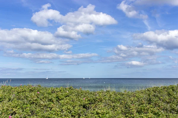 At the Baltic Sea — Stock Photo, Image