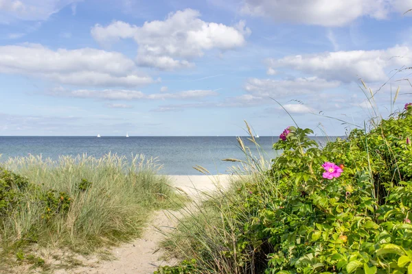 An der Ostsee — Stockfoto