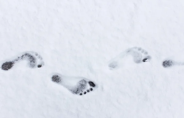 A piedi nudi in inverno — Foto Stock