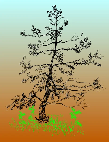 A árvore é desenhada à mão — Vetor de Stock