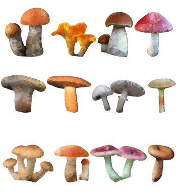 Çokgen mantar beyaz bir arka plan üzerinde