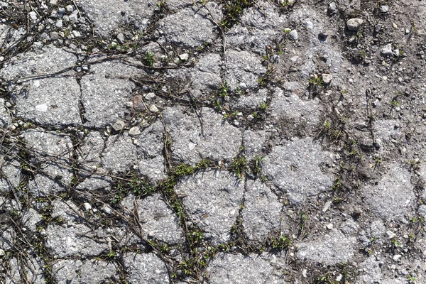 有裂缝的旧道路的纹理 — 图库照片