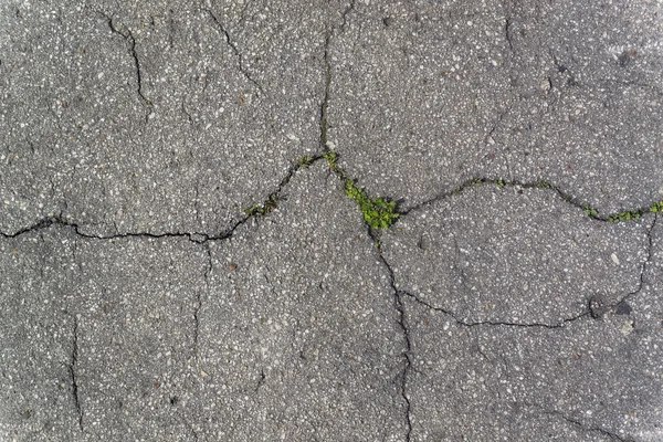 Textura del antiguo camino con grietas — Foto de Stock