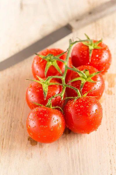 Um coquetel de arbusto tomates — Fotografia de Stock