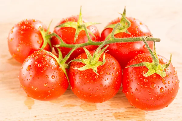 Un cóctel de tomates arbusto —  Fotos de Stock