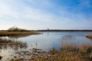 Gildehauser Venn, bir doğal rezerv bahar.