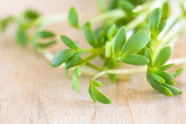 Bir ahşap tahta üzerinde taze tere