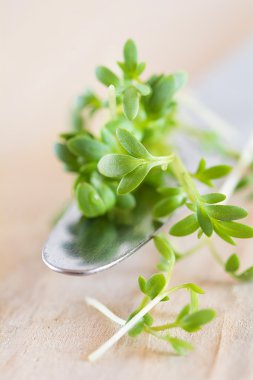 Bir bıçak üzerinde taze tere