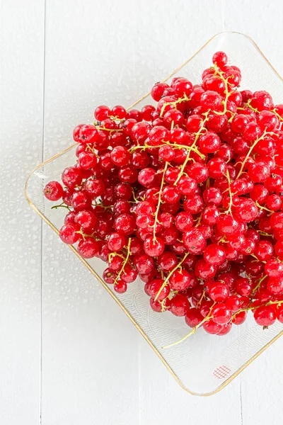 Il ribes rosso maturo si trova in una boccia di vetro — Foto Stock