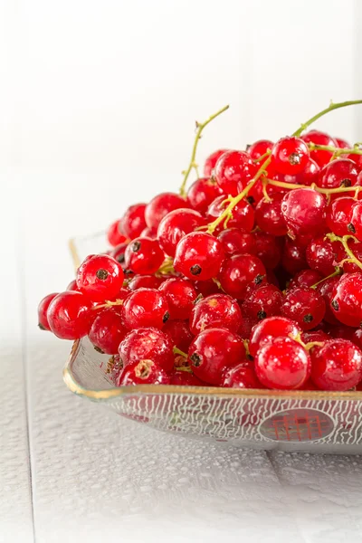 Il ribes rosso maturo si trova in una boccia di vetro — Foto Stock