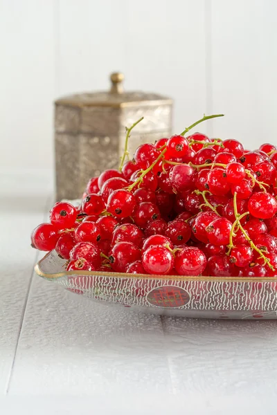 Mogna röda vinbär lögn i en glasskål — Stockfoto