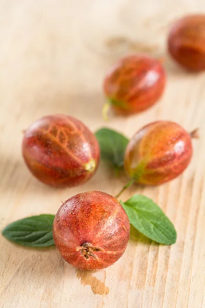 Verse rijpe kruisbessen — Stockfoto