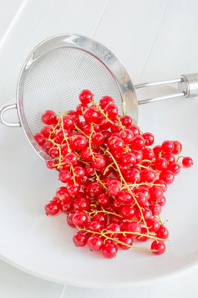 Corinto vermelho que cai de um escorredor — Fotografia de Stock