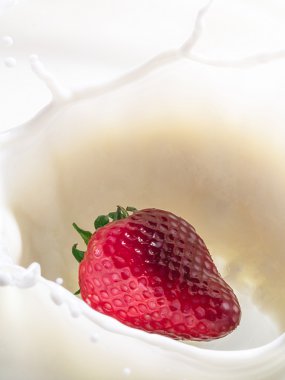 Çilek süte düşer.