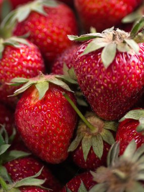 Çilek taze bir kase aldı