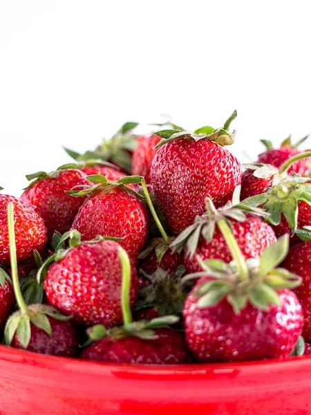 Aardbeien vers geplukt in een kom — Stockfoto