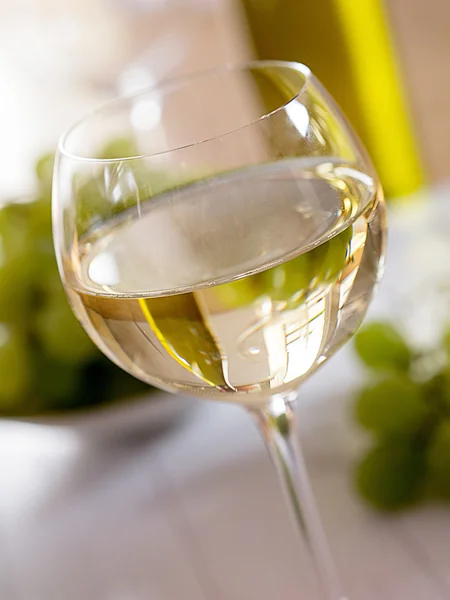 Un verre de vin blanc — Photo