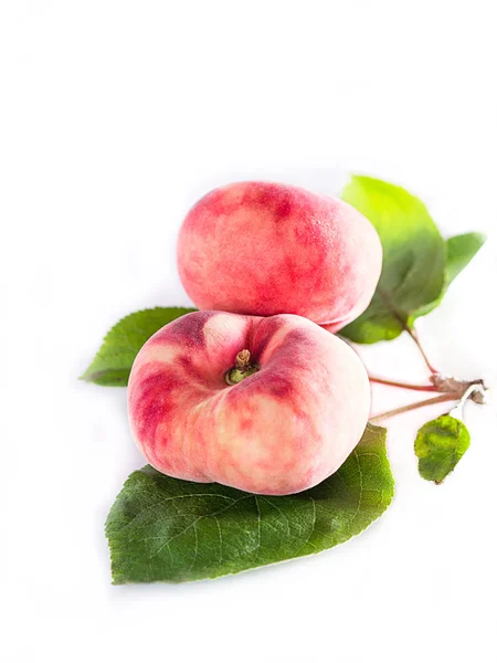 Vineyard peaches with foliage sheets — Stock Photo, Image