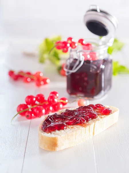 Kırmızı kuş üzümü jam — Stok fotoğraf