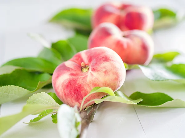 Vineyard peaches with foliage — Stock Photo, Image