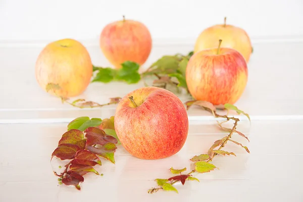 Яблоки с листьями на подносе — стоковое фото