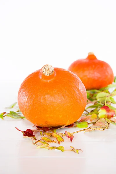 Calabaza en una bandeja — Foto de Stock