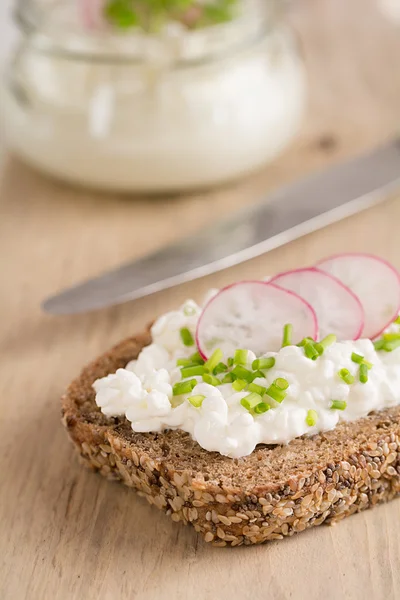 A slice of bread filled with Cottage Cheese — Stock Photo, Image