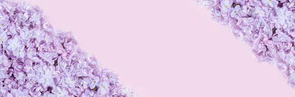 Lilás Flores Closeup Fundo Violeta Concurso Flores Primavera Para Aniversário — Fotografia de Stock