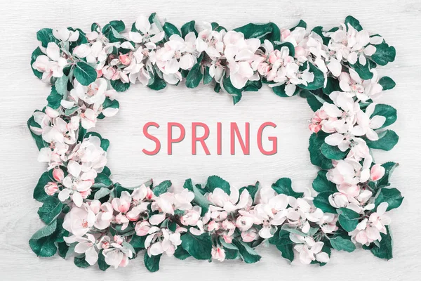 Wiosenne Słowo Kwitnące Białymi Różowymi Kwiatami Gałęzie Drzew Owocowych Ramki — Zdjęcie stockowe