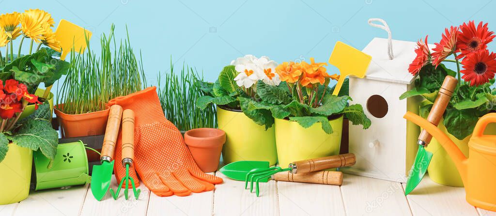 Gardening tools and flower pots with blooming plants on white wooden terrace in the garden. Spring or summer concept. Spring cleaning and housework. Birdhouse nest box. Copy space wide banner