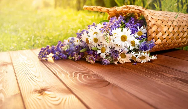 Beautiful Meadow Summer Flowers Basket Sunny Wooden Patio Chamomiles Bouquet — Stock Photo, Image
