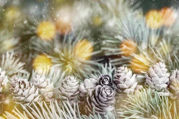 Branche Arbre Noël Avec Plusieurs Cônes Blancs Des Lumières Dorées — Photo