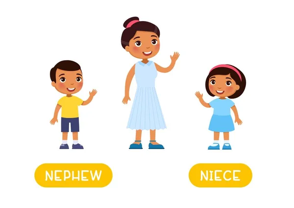 Nephew Und Niece Antonyms Word Card Opposites Concept Karteikarte Für — Stockvektor